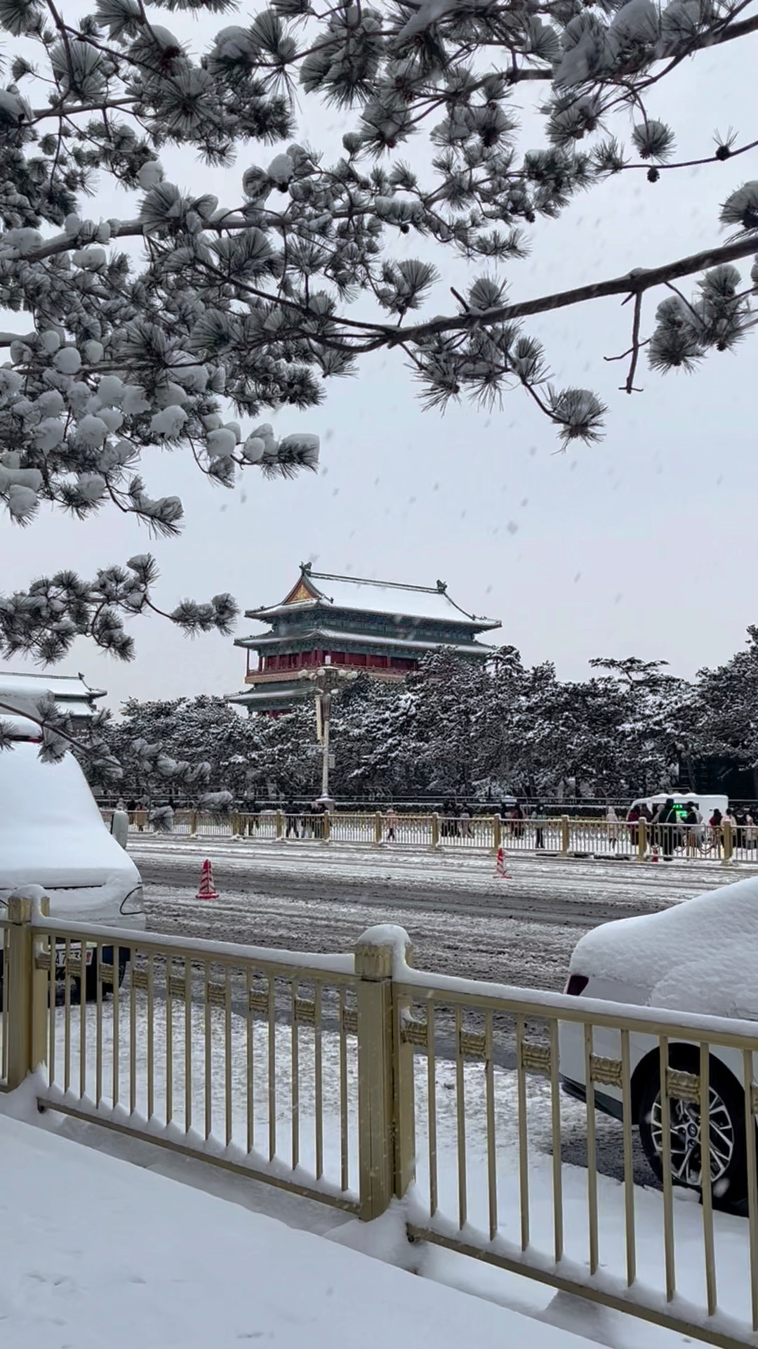 北京下雪了，一场冬日雪花的盛宴