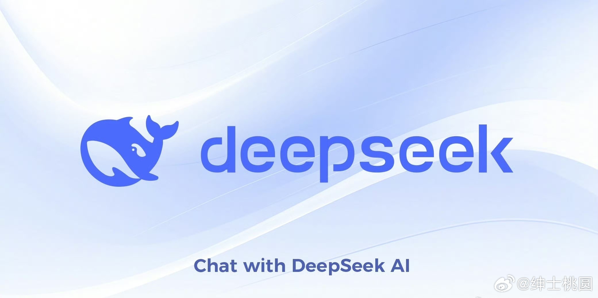 DeepSeek，被美国科技圈聚焦的创新之光