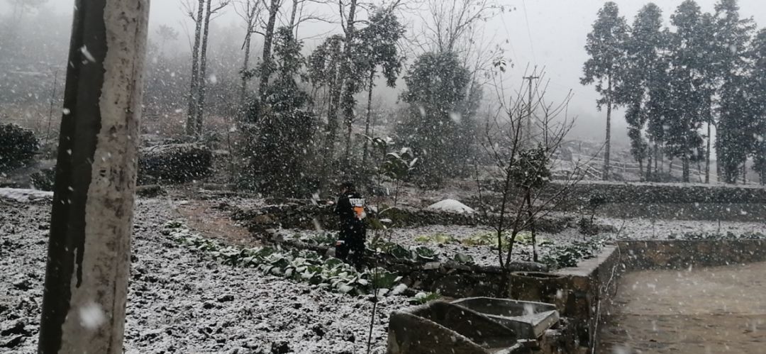 男子山上拍下现实版鹅毛大雪，壮丽景象引发网友热议