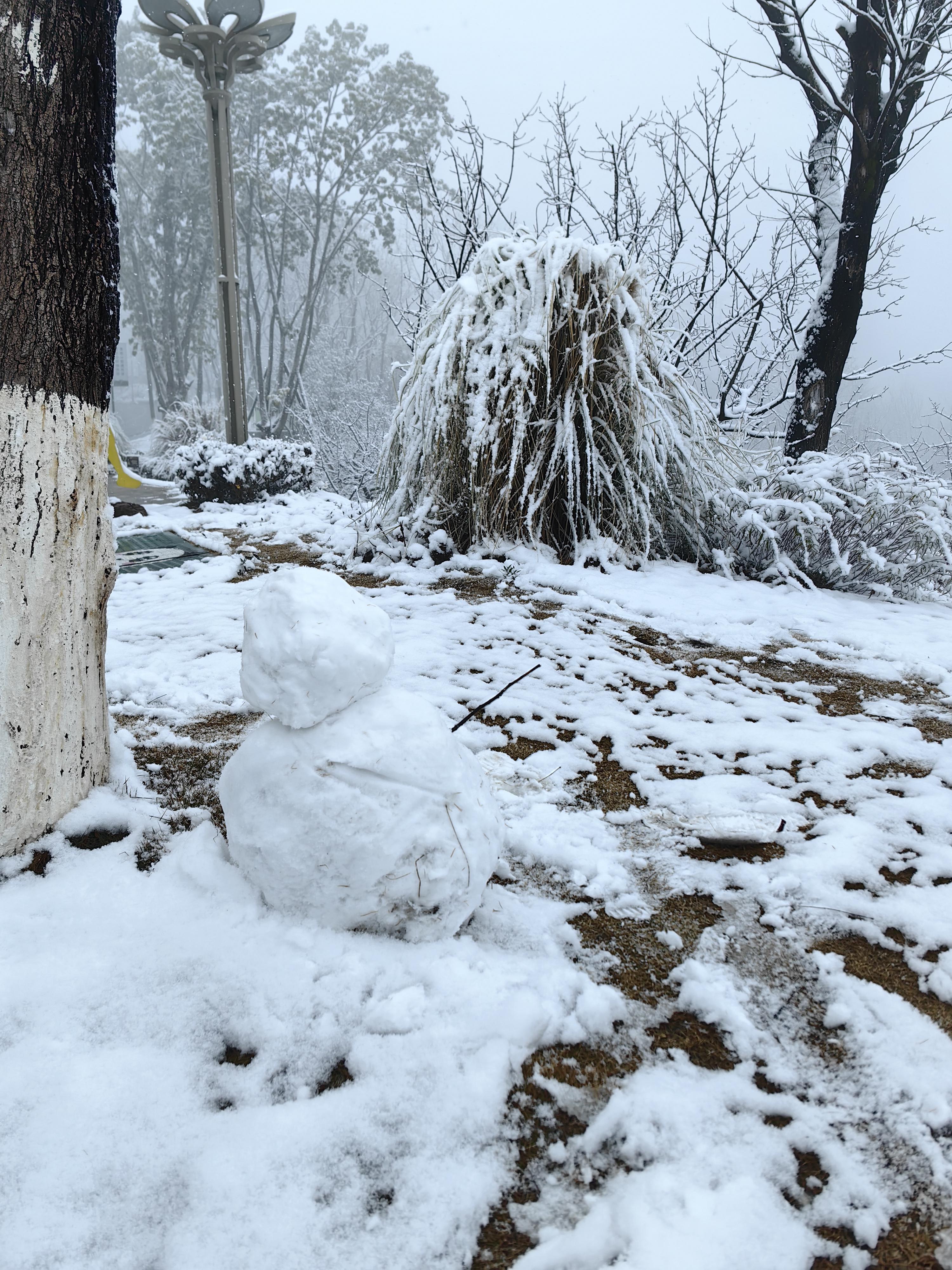 现实版的鹅毛大雪，壮丽奇观与深度体验