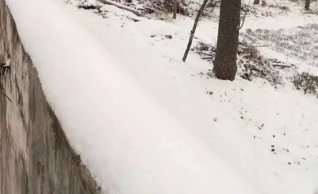 雪夜中的惊魂时刻，两人除雪时大棚塌了，意外露出俩脑袋