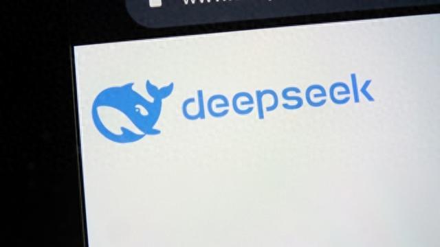 日本就DeepSeek表态，深度探讨其影响及未来展望