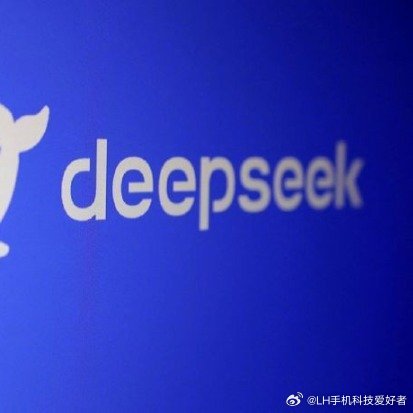 日本就DeepSeek表态，深度探讨与未来展望