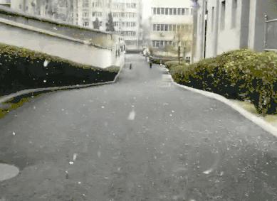 大年初四北京下雪