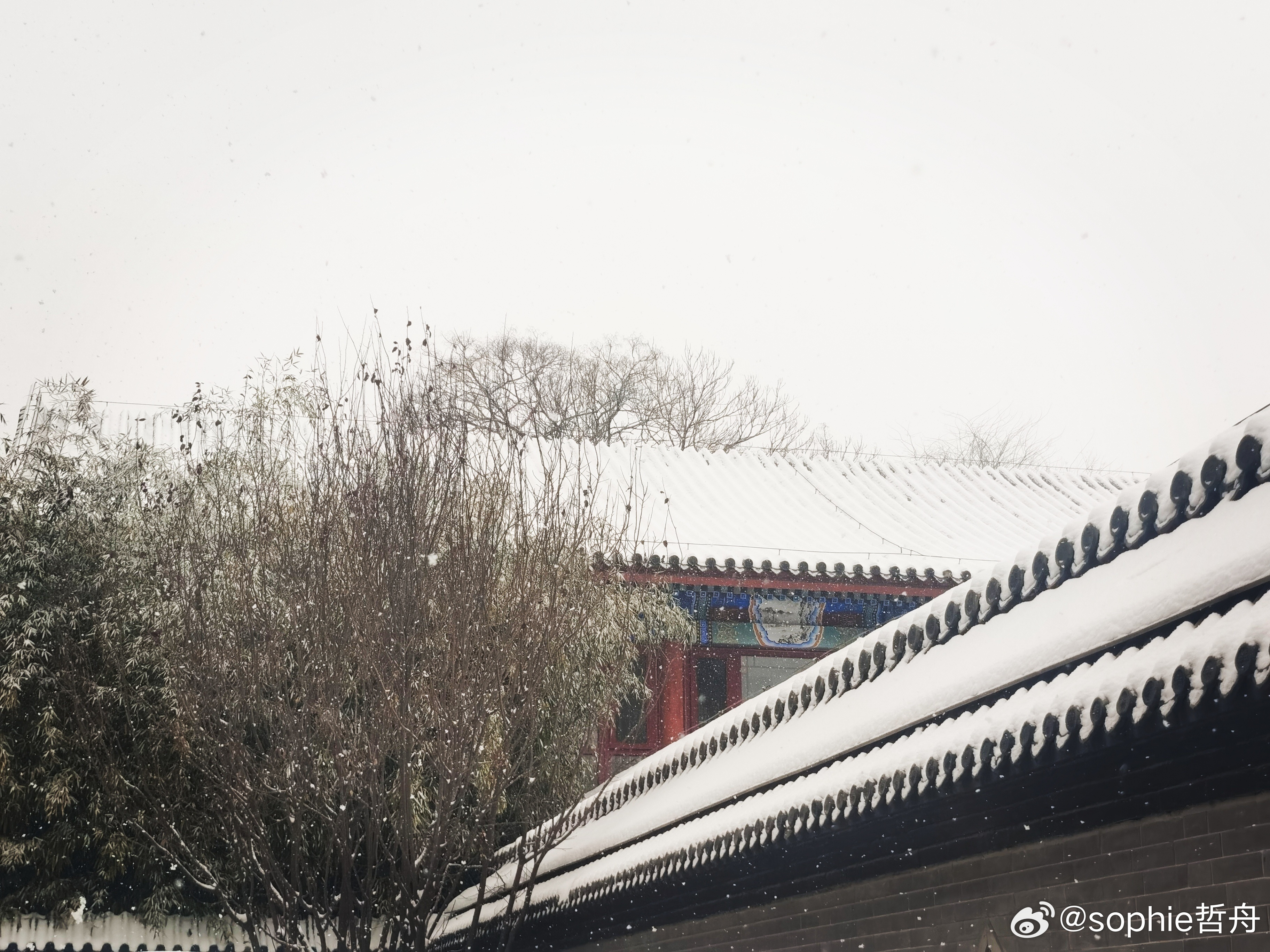 大年初四北京下雪，瑞雪兆丰年，古都迎新春