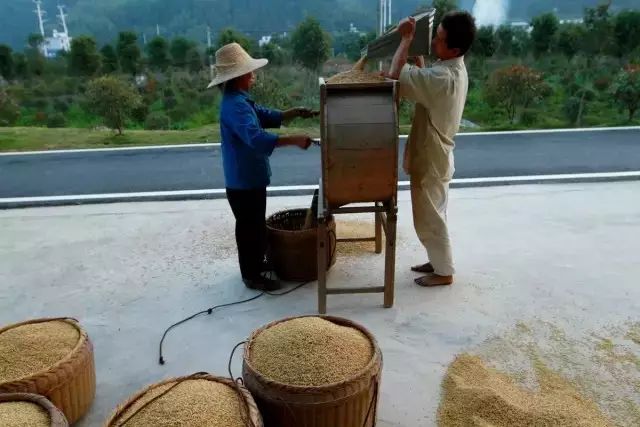 回老家睡稻草地铺的独特体验