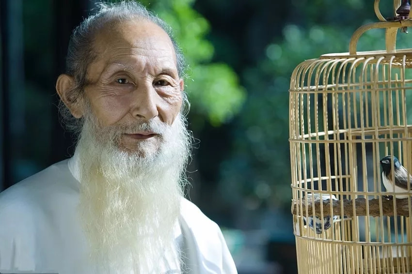 112岁中医临终馈赠，一生行医的宝贵经验与智慧