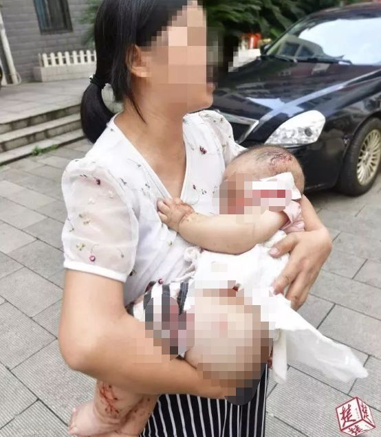 女生看到奶奶家自装省电王，节能背后的温情与智慧