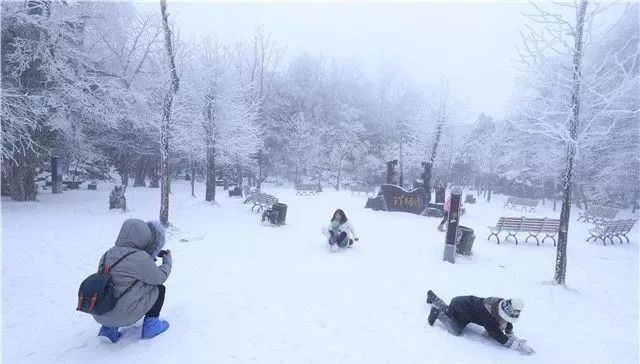 棉花代雪景区关闭背后的故事与思考