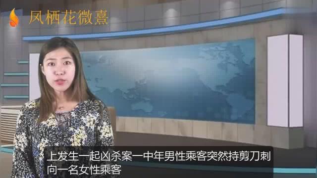 女教师刺死8岁学生事件，深度分析与反思