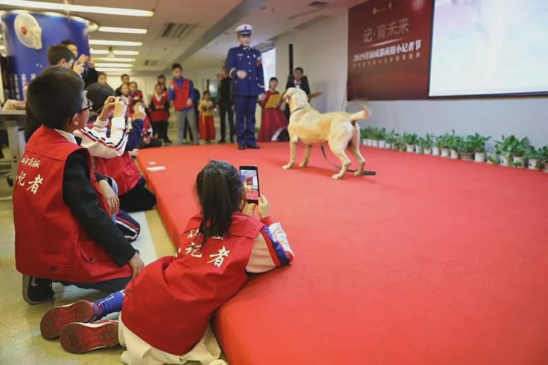 配音演员回应太乙真人换配音，传承与创新之间的声音交响