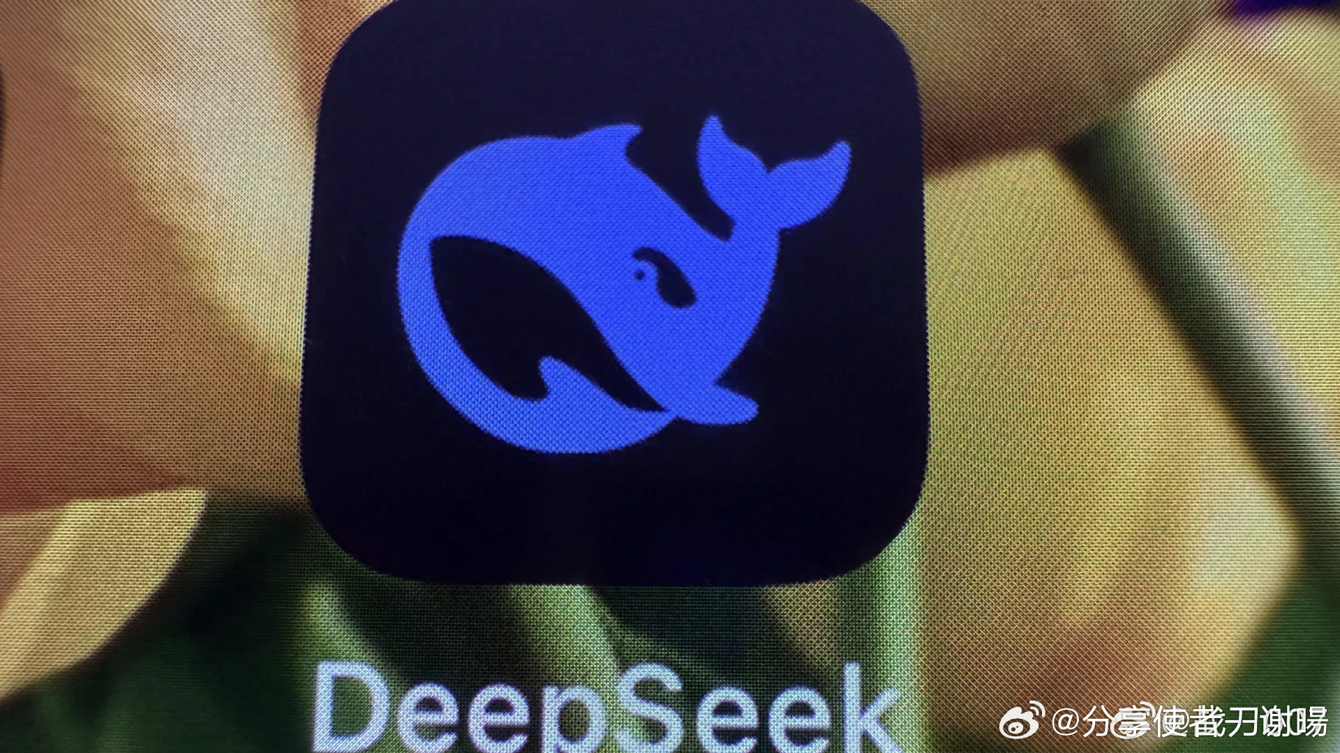 苹果为何没相中DeepSeek，深度解析与前瞻展望