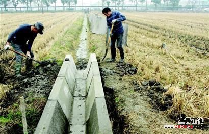 农田遭非法挖土售卖事件曝光，当地回应引发关注