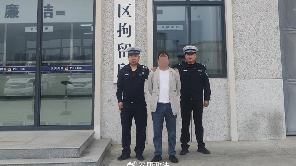 编造肇事逃逸被拘，真相揭秘与法律警示背后的故事