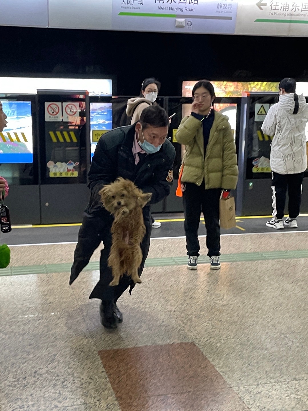 杭州地铁惊现逃票萌犬事件揭秘