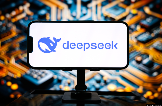 DeepSeek重塑中国大模型产业生态，引领AI新时代的革新之旅