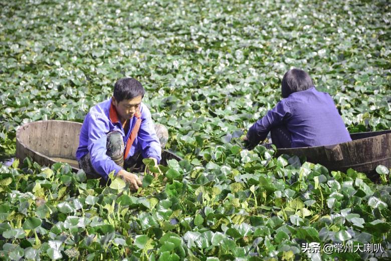 杭州网红闻叔离世，世间再无此传奇！