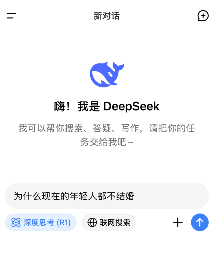 DeepSeek不止于姻缘，探索更多可能性