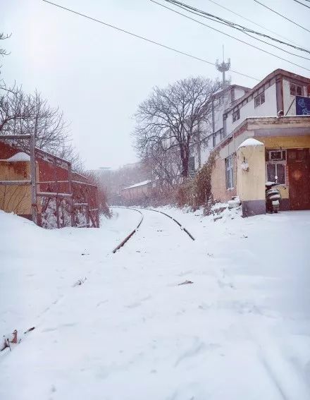 郑州下雪了，雪落古都的惊喜与挑战