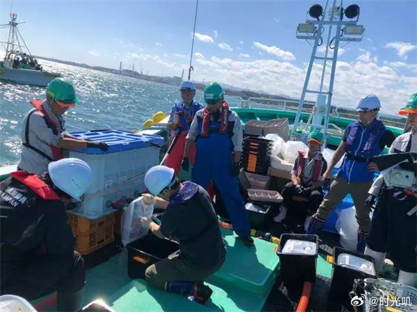 福岛核阴影下，海洋生物样本惊现中国！真相究竟如何？