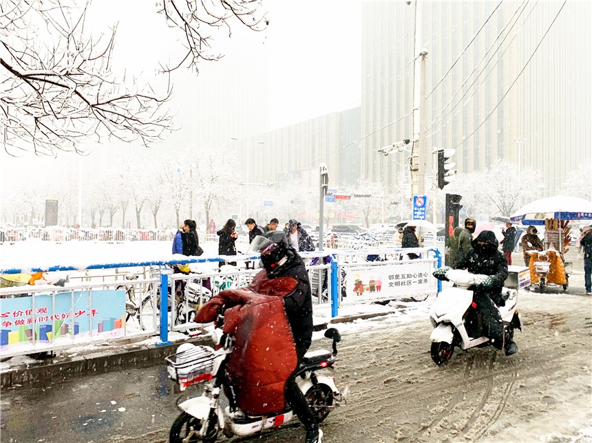 石家庄大雪，寒冬中的壮丽奇景与深度解读