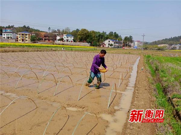 春回大地农事起，春耕备耕热潮涌动——开启新一年的农业篇章