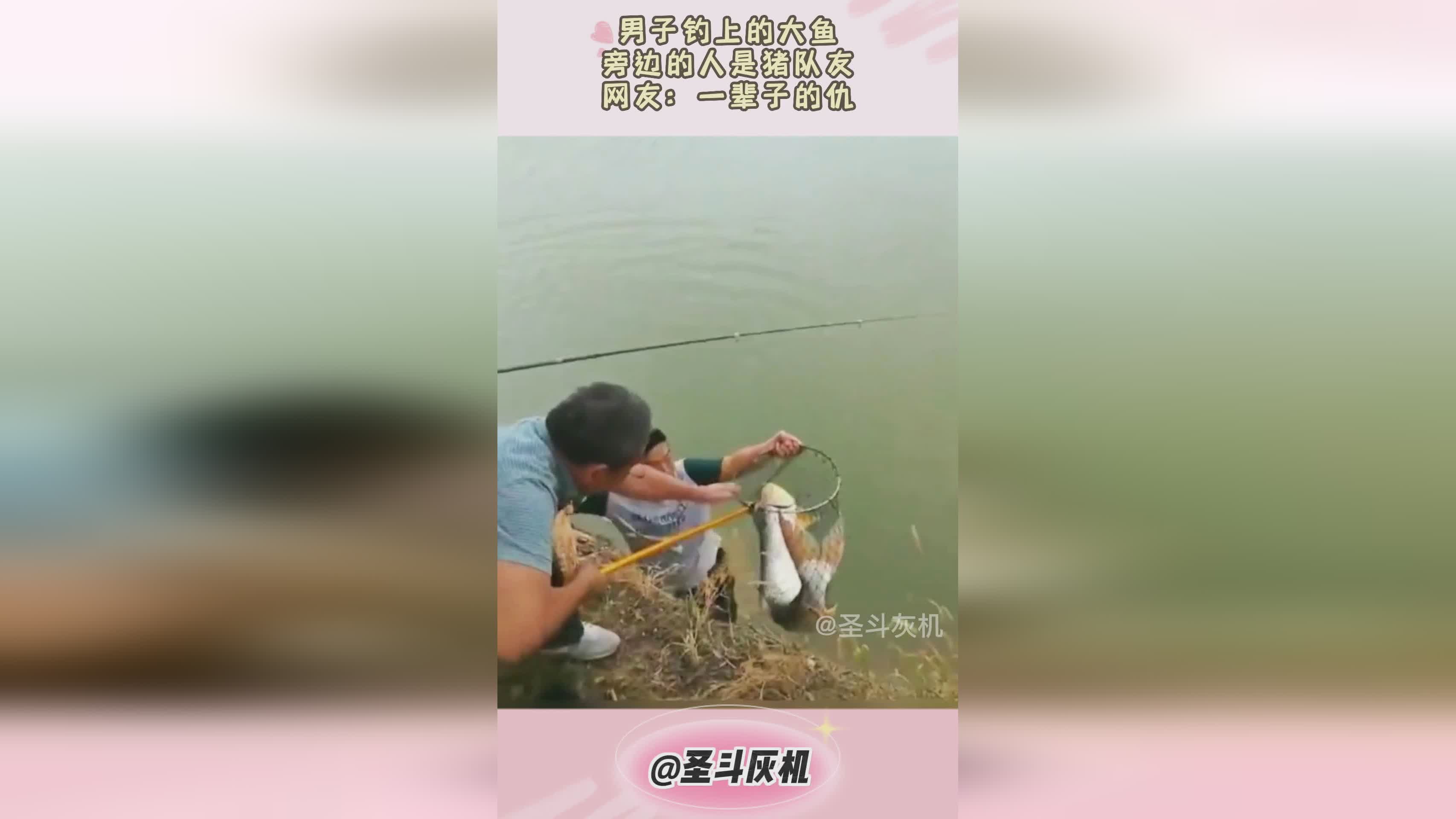 惊！男子钓鱼时以为上钩的是巨鲤，结果却是一头‘活猪’！