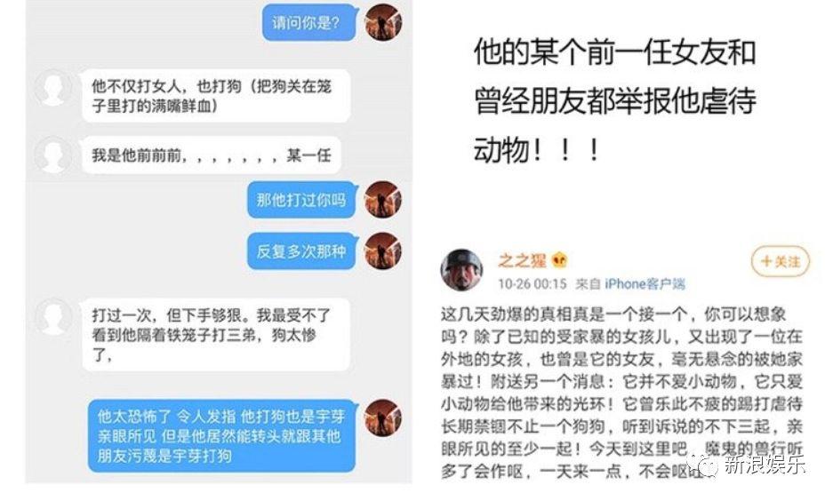 新婚喜悦瞬间变悲剧，她的爱情为何让她失去了光明？