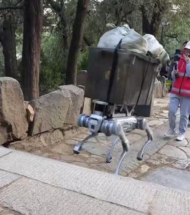 泰山景区回应‘机器狗’驮载重物，究竟是科技进步还是安全隐患？