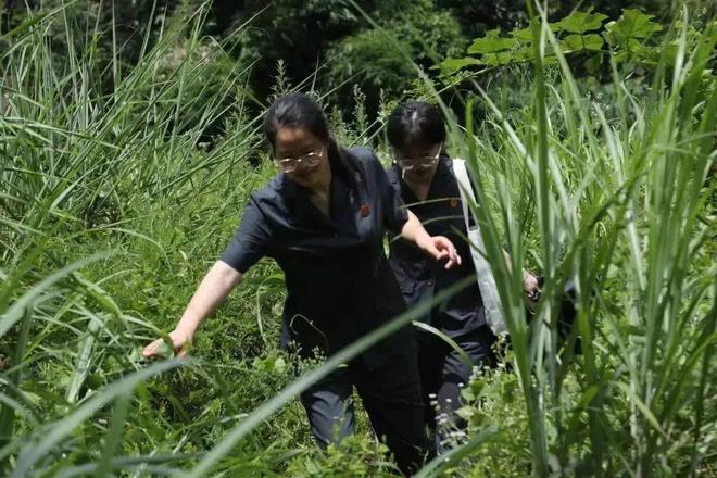 惊天！男子深山挖掘19株珍稀兰花，被抓背后竟藏着这个秘密！