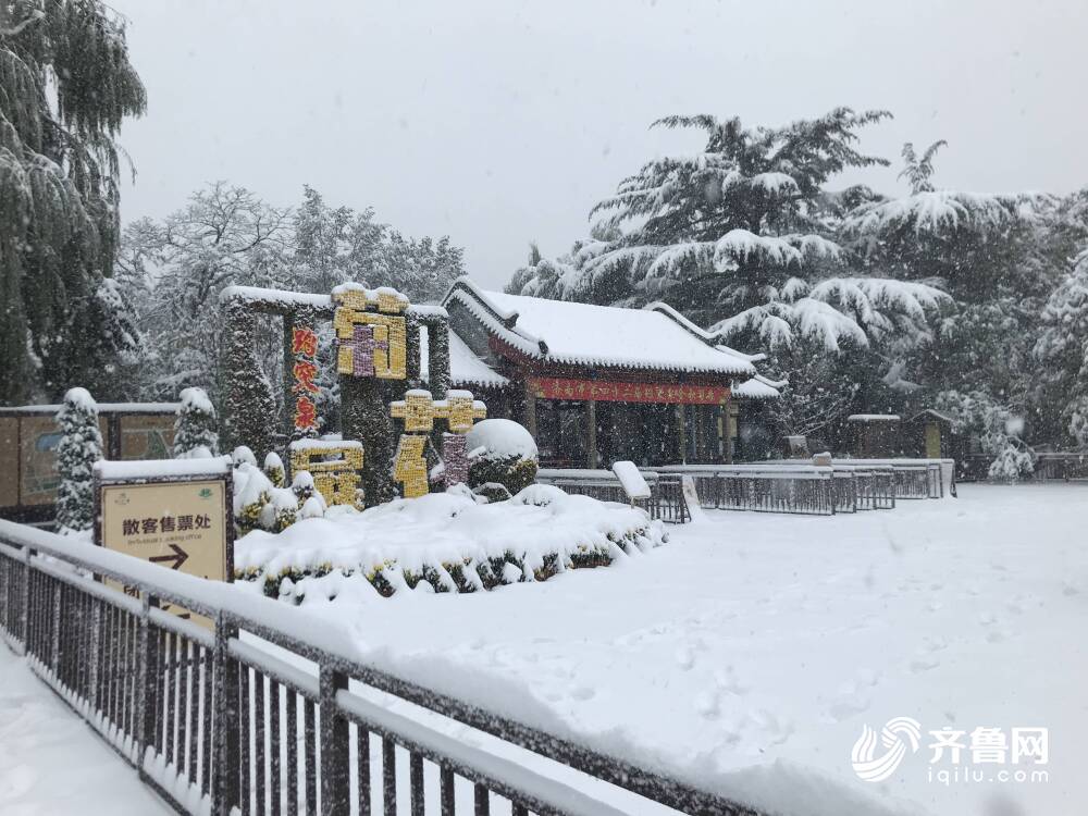 惊！山东暴雪突袭，13厘米积雪背后竟暗藏这些危机？