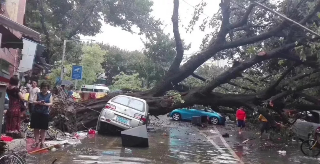 震惊！河南许昌暴雨后竟成废墟？真相让人意想不到！