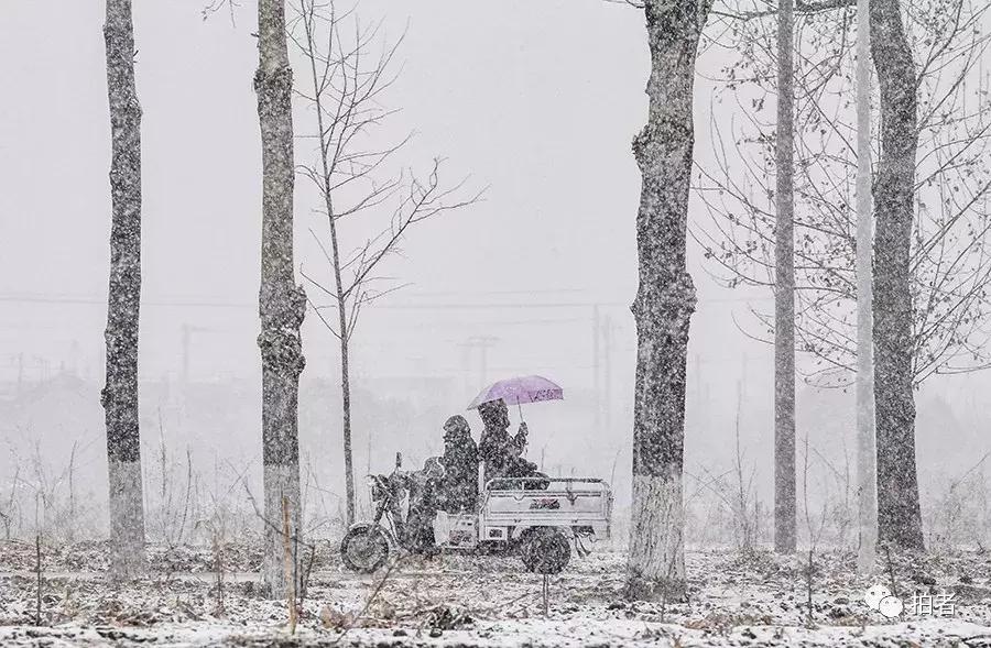 北京竟然下雪了