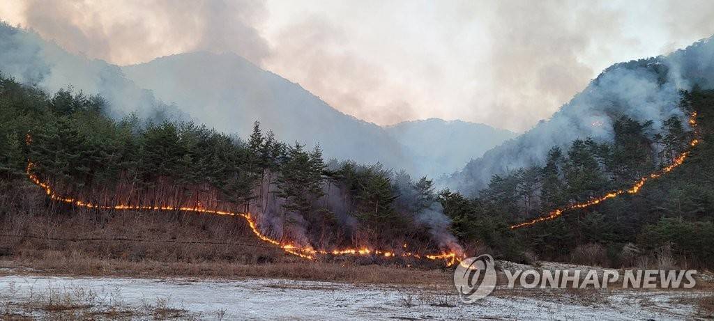 惊！韩国山火肆虐，4600个足球场瞬间化为灰烬！背后真相令人震惊！